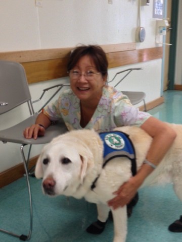 Hui Maluhia Healthcare LLC - Home Health Nursing in Hilo, HI photo 2